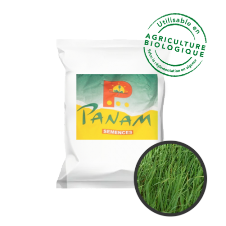 Avoine Diplo Luxurial 25Kg