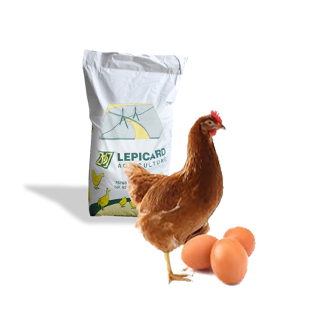 CELIA G PONDEUSE 25KG