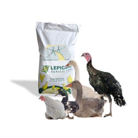 CELIA G VOLAILLE 25KG