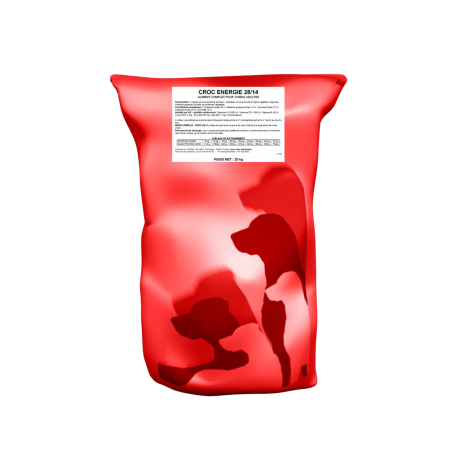 Chiens, chats et petfood