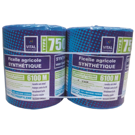 Ficelle synth&eacute;tique bleue Extra750 10Kg (2x5Kg)