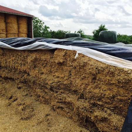 Film d\'ensilage noir Standard 150&micro;