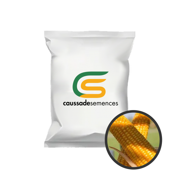 Ma�s fourrager Evgeni