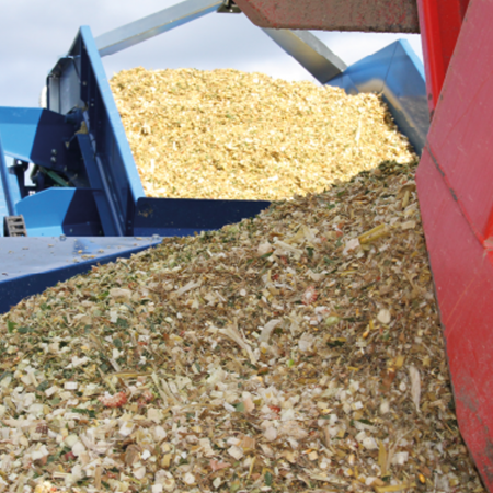 Ma&iuml;s fourrager Haramixx