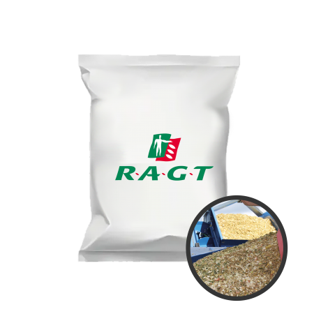 Ma&iuml;s fourrager Haramixx