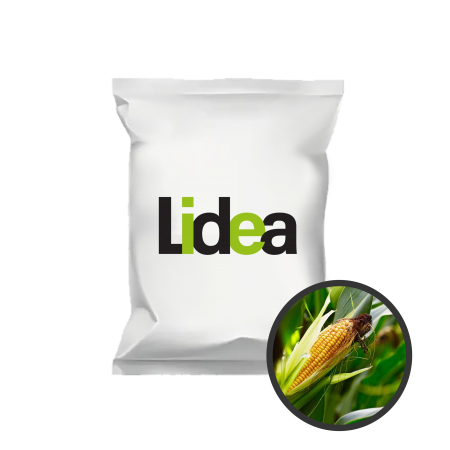 Ma&iuml;s fourrager Histori