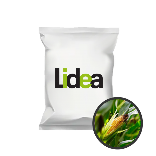 Ma�s fourrager Motivi