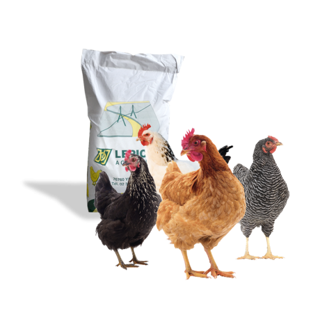 M&eacute;lange c&eacute;r&eacute;ales bassecour 25 Kg