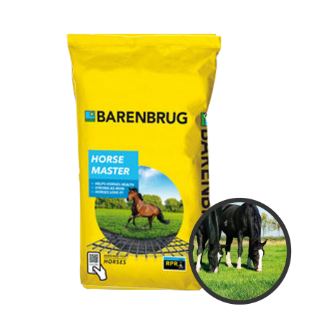 M&eacute;lange prairie cheval horse master 10Kg