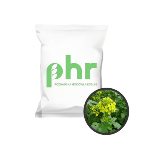 Fourrag�res et intercultures