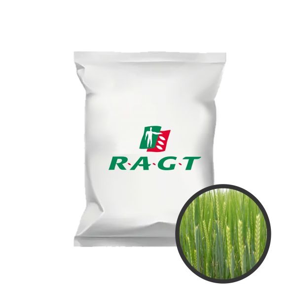 Orges de printemps Planet