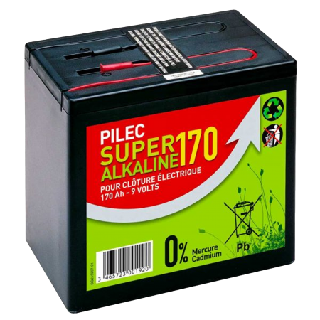 Pile de cl&ocirc;ture alcaline 170ah