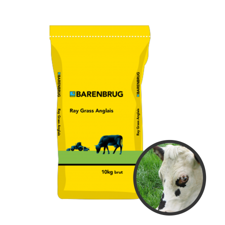 Ray-grass anglais Barlands 10Kg