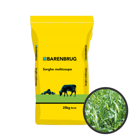 Sorgho fourrager Bovital 25Kg