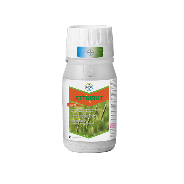 Attribut 300g
