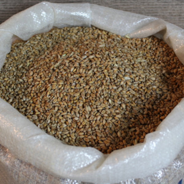 Bl� 25Kg