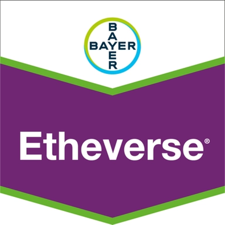 Etheverse 5L