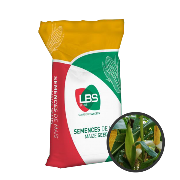 Ma�s grain LBS 2941