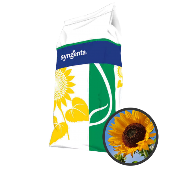 Tournesol Arco
